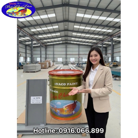 SƠN KẼM NACO AC XINGFA 829_18 LÍT